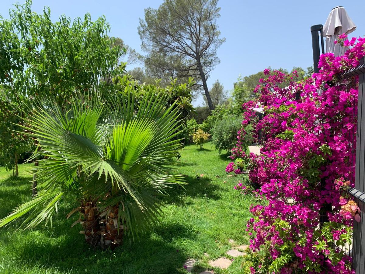 La Balma - 4 Appartements Avec Jardin En Maison Passive De Plain Pied A Frejus-Saint-Raphael エクステリア 写真